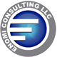 Enomi Consulting LLC Логотип(logo)